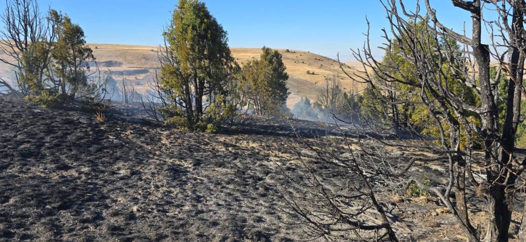Konya’da piknikçi ateşi ormanı yaktı 9